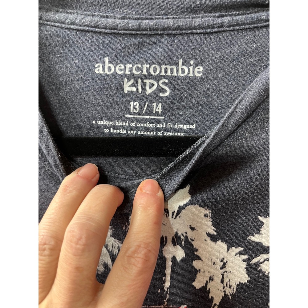 Boys T-Shirt Bundle Abercrombie Nike Champion Blue Gray Charcoal Size L 12-14 - Picture 2 of 8